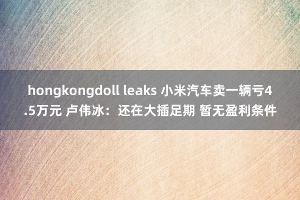 hongkongdoll leaks 小米汽车卖一辆亏4.5万元 卢伟冰：还在大插足期 暂无盈利条件