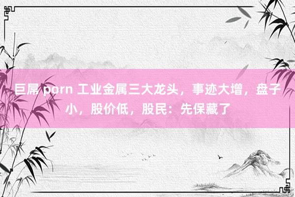 巨屌 porn 工业金属三大龙头，事迹大增，盘子小，股价低，股民：先保藏了