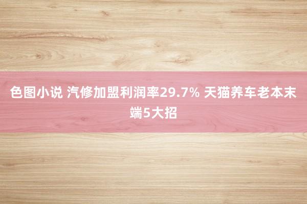 色图小说 汽修加盟利润率29.7% 天猫养车老本末端5大招