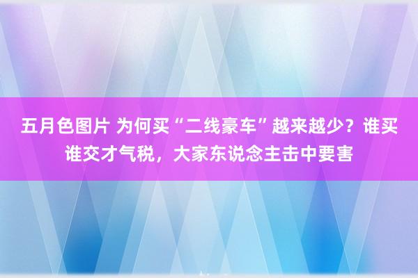 五月色图片 为何买“二线豪车”越来越少？谁买谁交才气税，大家东说念主击中要害