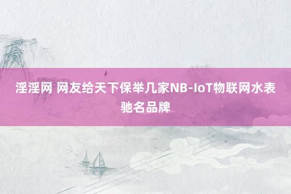 淫淫网 网友给天下保举几家NB-IoT物联网水表驰名品牌