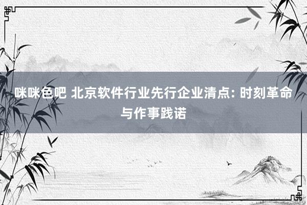 咪咪色吧 北京软件行业先行企业清点: 时刻革命与作事践诺