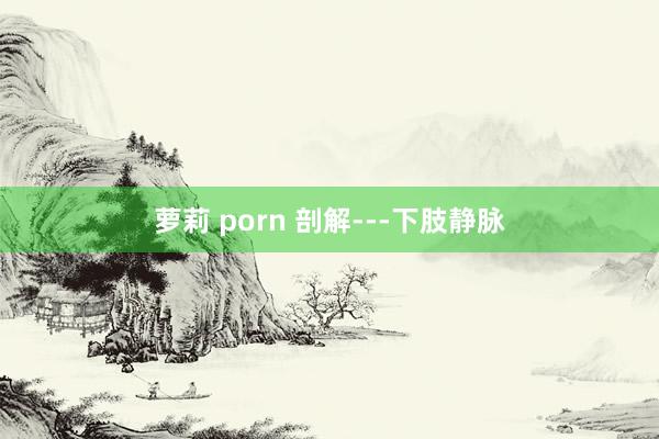 萝莉 porn 剖解---下肢静脉