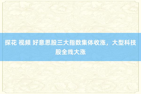 探花 视频 好意思股三大指数集体收涨，大型科技股全线大涨