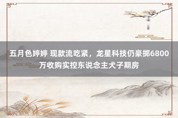 五月色婷婷 现款流吃紧，龙星科技仍豪掷6800万收购实控东说念主犬子期房