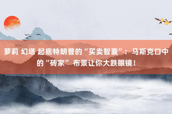萝莉 幻塔 起底特朗普的“买卖智囊”：马斯克口中的“砖家” 布景让你大跌眼镜！